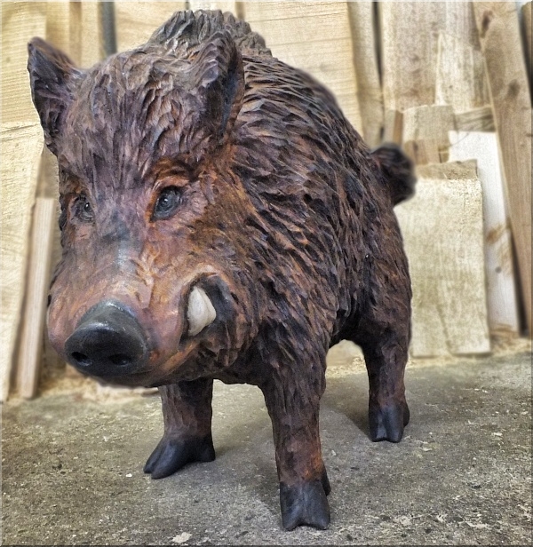 keiler wildschwein wild boar